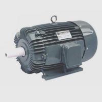 Индукционный двигатель AC 380 V IP55