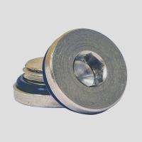 Заглушка Dungs G 1/4" с уплотнением, 1203404