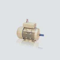 Синхронный двигатель CG Power Systems SHEETAL