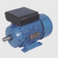 Монофазовый двигатель Fujian Mindong Electric Co., Ltd. MC