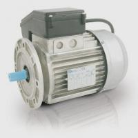 Монофазовый двигатель AC 100 V