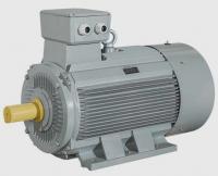 Двигатель AC-Motoren ACM PROGRESSIV (IE3)