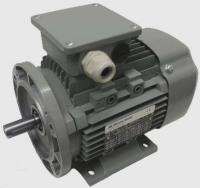 Двигатель AC-Motoren FCPA PROGRESSIV (IE2)