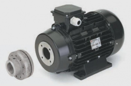 Двигатель Nicolini Motori 132